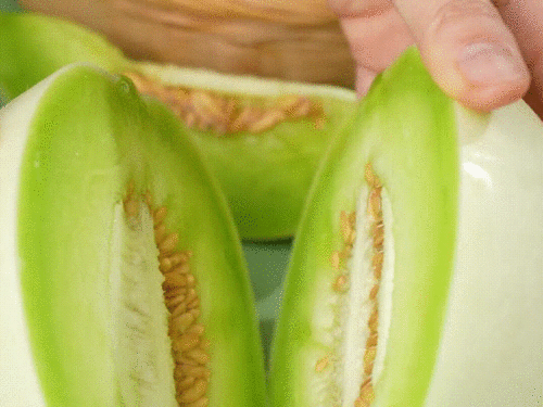 吃瓜还是看山东,一场视觉与味蕾的双重盛宴