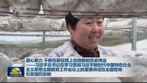 保定吃瓜新闻视频