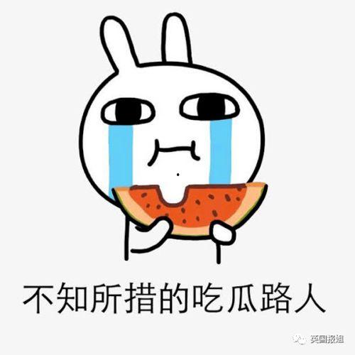 川媒 吃瓜,吃瓜群众背后的故事