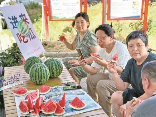 宁波吃瓜新闻,揭秘本地热点事件背后的真相