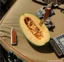 吃瓜作品全集,揭秘娱乐圈背后的秘密与真相